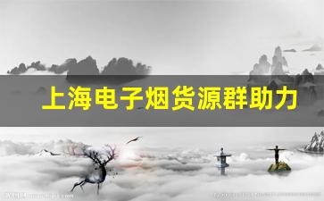 上海电子烟货源群助力商家降低采购成本