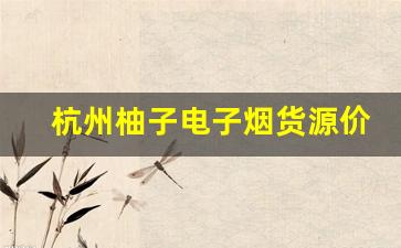 杭州柚子电子烟货源价格解析与对比