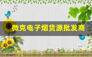微克电子烟货源批发商的选择标准与建议