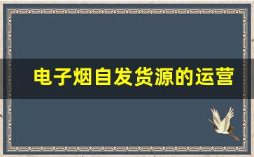 电子烟自发货源的运营管理经验分享