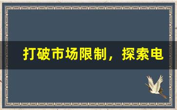 打破市场限制，探索电子烟大量货源的获取途径