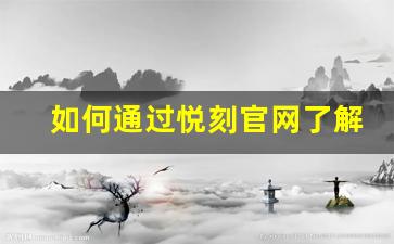 如何通过悦刻官网了解产品价格