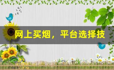 网上买烟，平台选择技巧与推荐